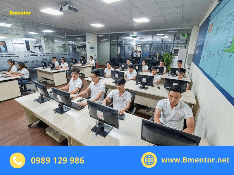 công việc của thực tập sinh IT