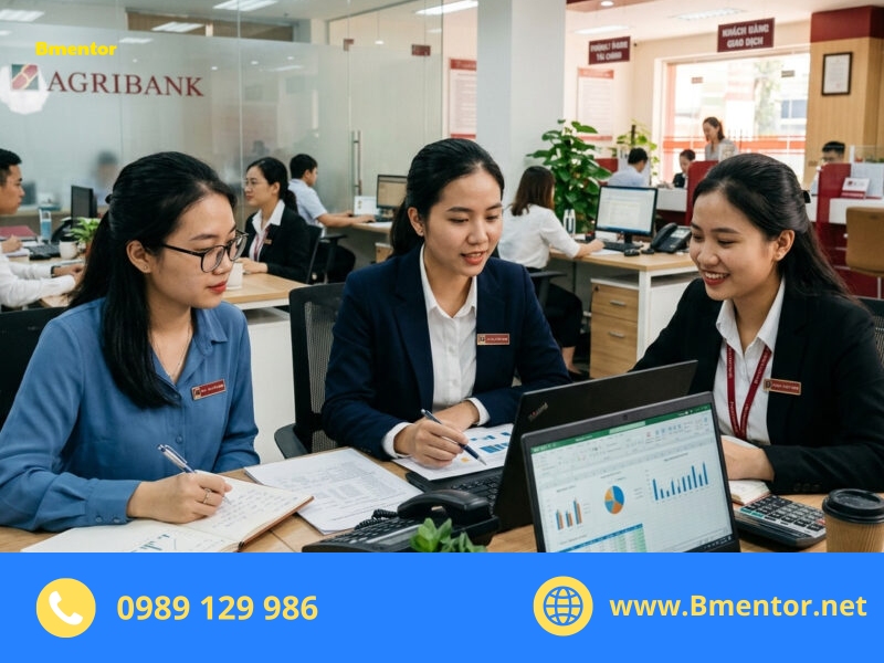 công việc của thực tập sinh tài chính