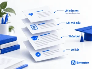 bo cuc tieu luan tong quan