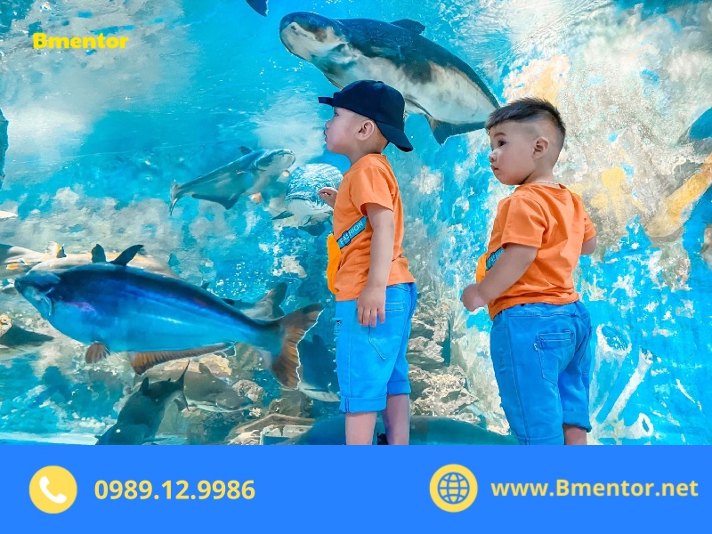 Sáng kiến kinh nghiệm mầm non 3 4 tuổi mới nhất, đủ lĩnh vực 5 sáng kiến kinh nghiệm mầm non 3 4 tuổi